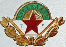 lilleaker-turnforening-standard.jpg