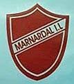 marnardal-idrettslag-standard.jpg