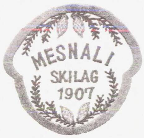 mesnali-skilag-2-standard.jpg