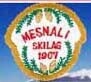 mesnali-skilag-red-standard.jpg