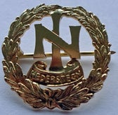 n-rb-idrettslag-hederstegn-a-standard.jpg