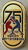 nbf-75-r-a-standard.jpg