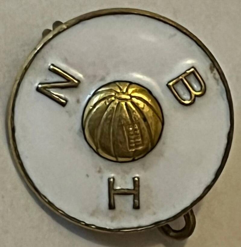 nedre-buskerud-h-ndballkrets-standard.jpg