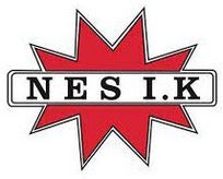 nes-ishockeyklubb-2-standard.jpg