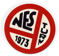nes-turnforening-standard.png