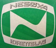nes-ya-idrettslag-standard.jpg