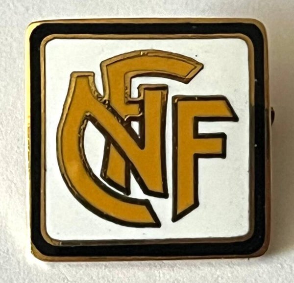 Norges Fotballforbund NFF NM dommer junior og kvinner
