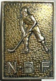 norges-bandyforbund-forgylt-a-red-standard.jpg
