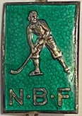 norges-bandyforbund-nbf-gr-nn-a-red-standard.jpg