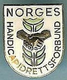 norges-handicapidrettsforbund-standard.jpg
