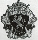 norges-skytterv-sen-standard.jpg