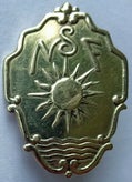 norges-sv-mmeforbund-gullmerke-floer-a-standard.jpg