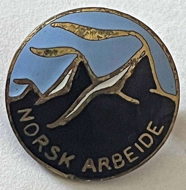 Foreningen Norsk arbeide nål