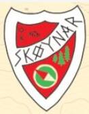 orienteringsklubben-sk-ynar-standard.jpg
