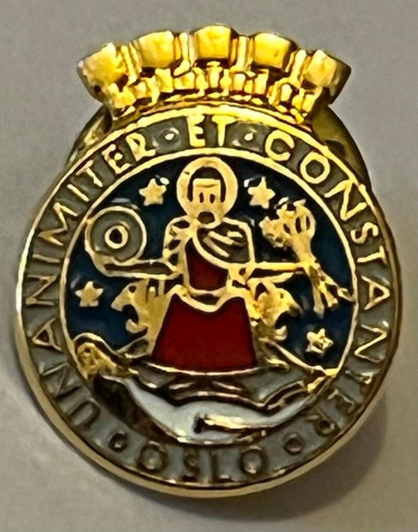 Oslo by- kommune pin