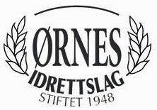 rnes-idrettslag-standard.jpg