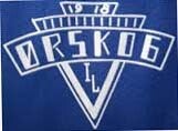 rskog-idrettslag-standard.jpg