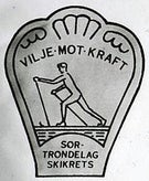 s-r-tr-ndelag-skikrets-vimpel-red-standard.jpg