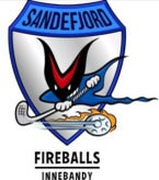 sandefjord-innebandy-2-standard.jpg