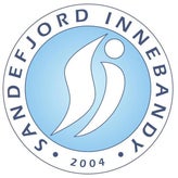 sandefjord-innebandy-standard.jpg