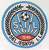 seljeskog-idrettslag-standard.png