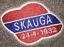 skauga-idrettslag-standard.jpg