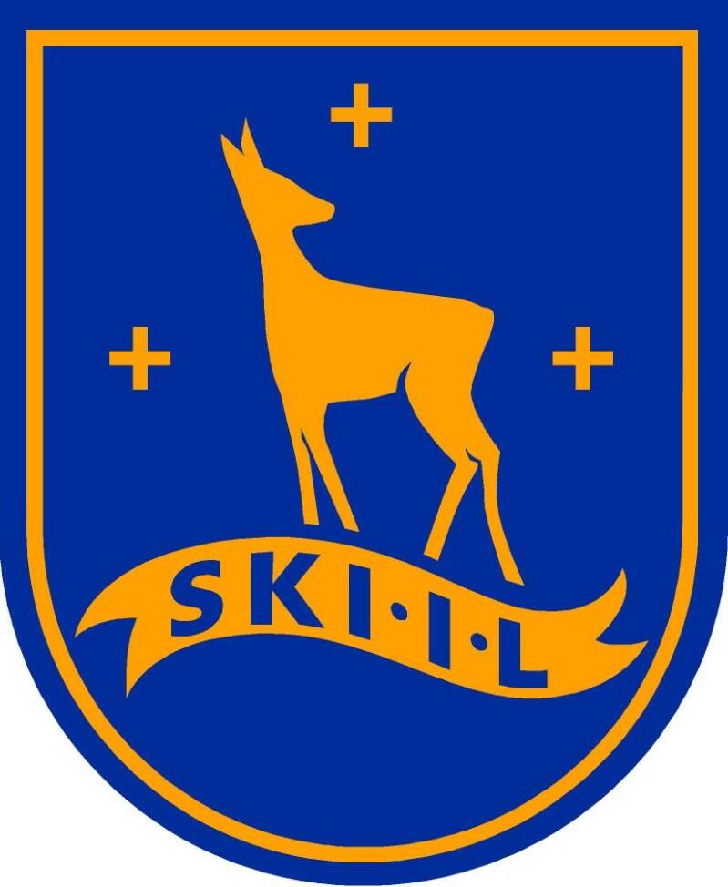 ski-idrettslag-standard.jpg