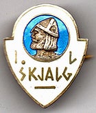 skjalg-idrettslaget-standard.jpg