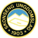 skonseng-ungdomslag-standard.jpg