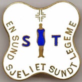 slemmestad-turnforening-standard.jpg