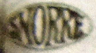snorre-friidrettsklubben-standard-2h6akx.jpg