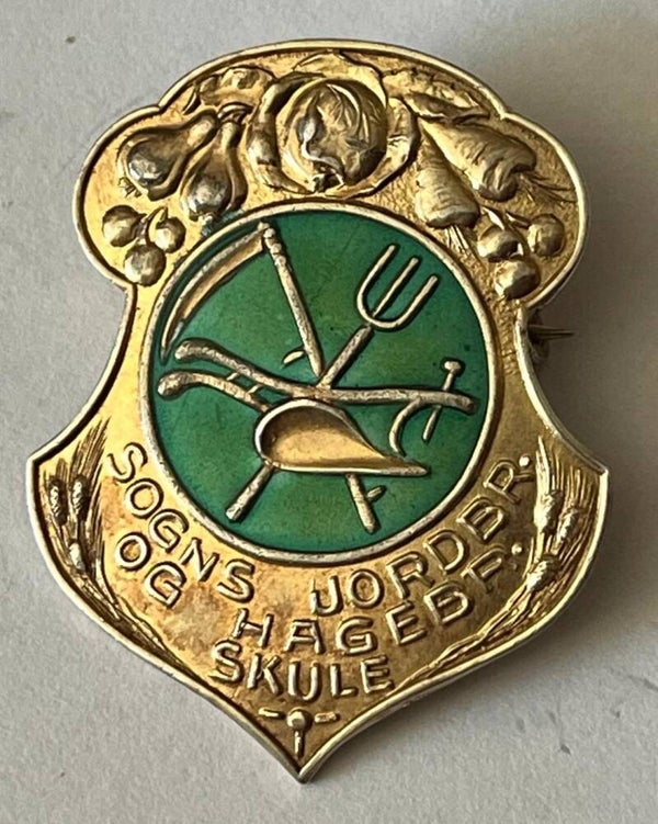 Sogns jordbruks og hagebruks skule Stor sølv og emalje nål