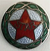 star-standard.jpg