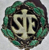 stavanger-idrettsforening-stickpin-a1-standard.jpg
