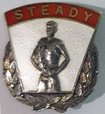 steady-darius-standard.jpg