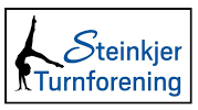 steinkjer-turnforening-standard.png