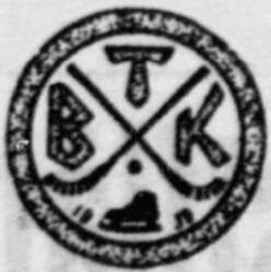 t-nsberg-bandyklubb-standard.jpg