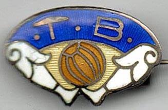 teie-ballklub-a-standard-lr4ptz.jpg