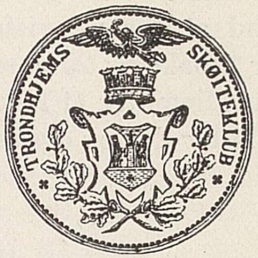 trondhjems-s-iteklub-standard.jpg