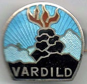 vardild-idrettslag-standard.jpg