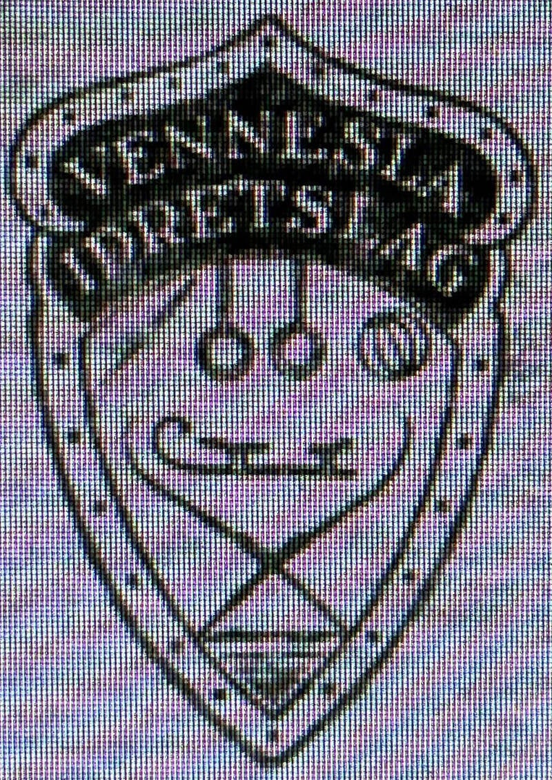 vennesla-idrettslag-standard.jpg