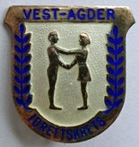 vest-agder-idrettskrets-a-standard-hlu5cv.jpg