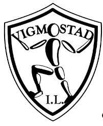 vigmostad-il-standard.jpg