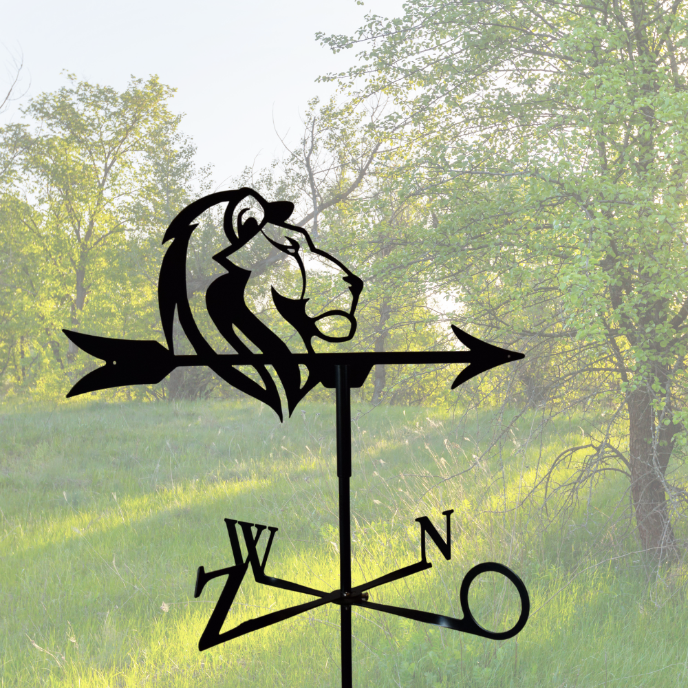 Windwijzer Leeuwenkop