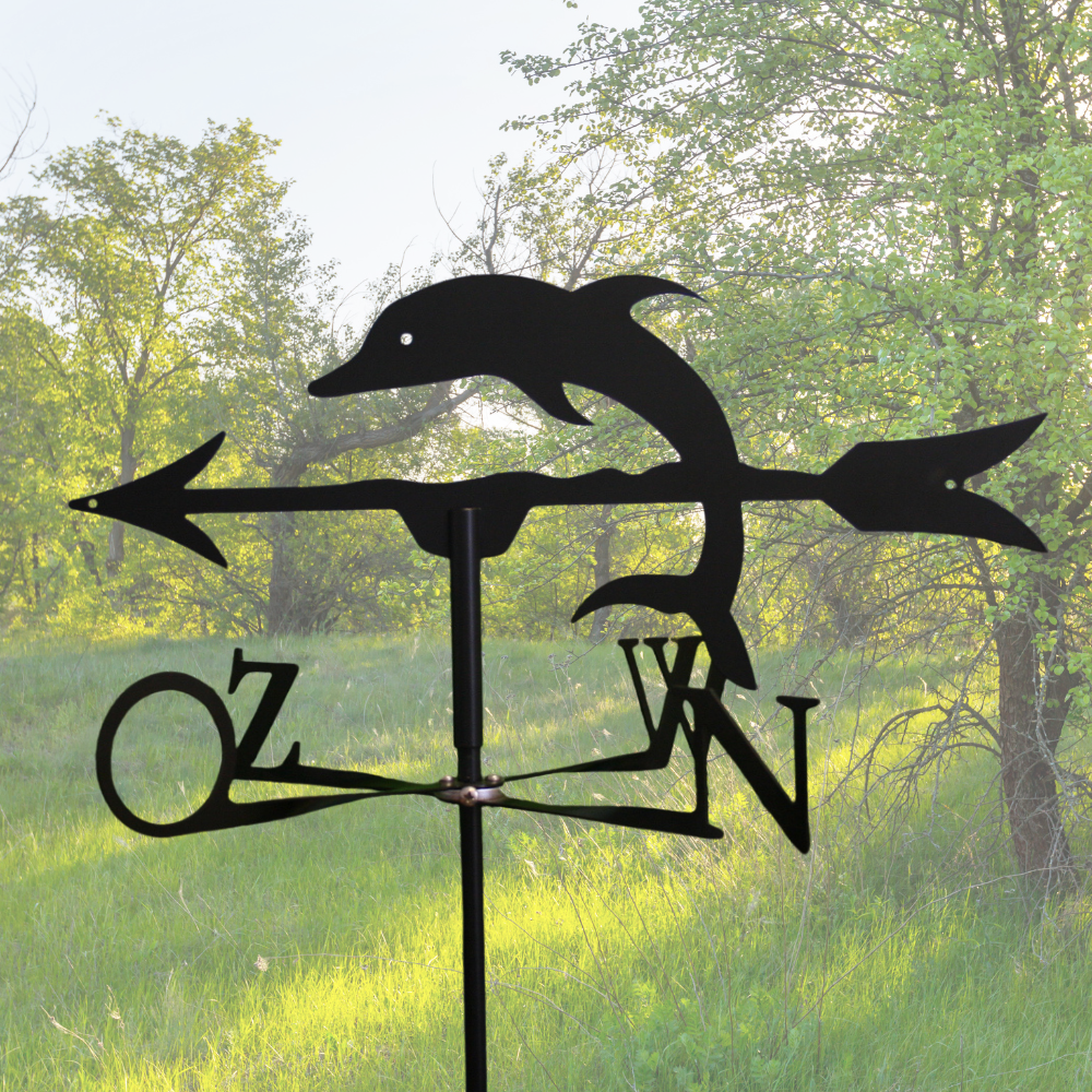Windwijzer Dolfijn