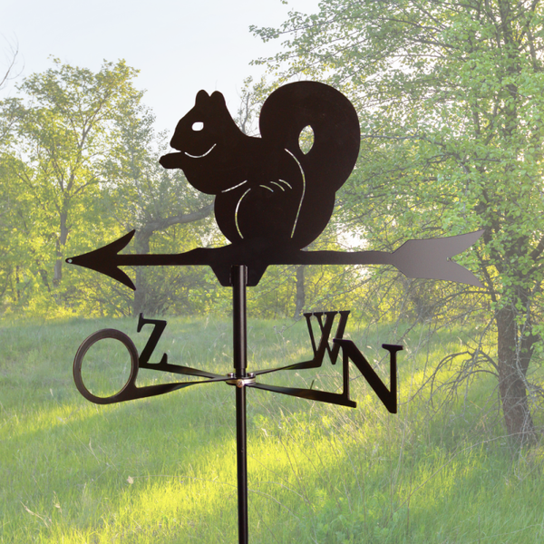 Windwijzer Eekhoorn