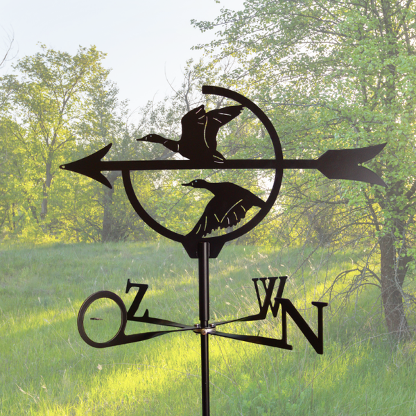 Windwijzer Ganzen