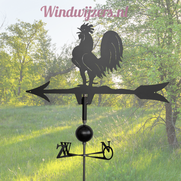 Windwijzer Haan XL