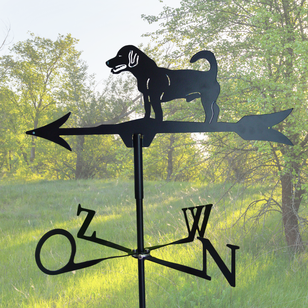 Windwijzer Jack Russell