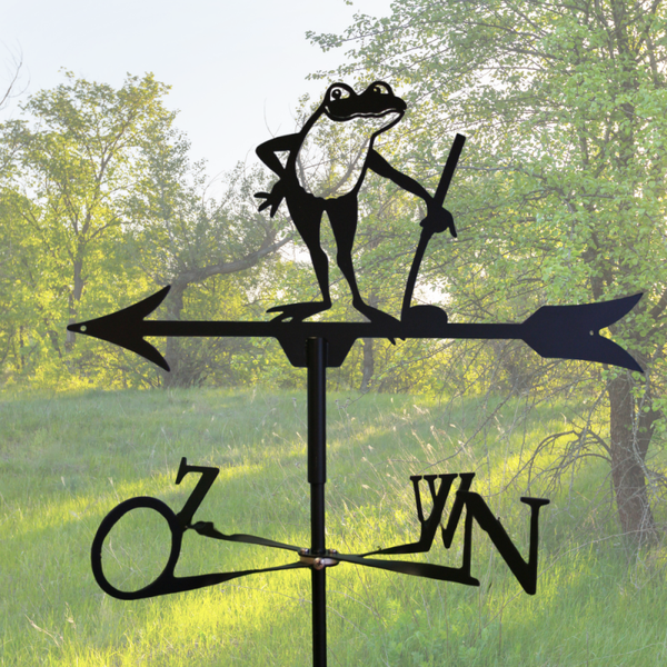Windwijzer Kikker